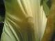 Private Photo of stripman_vero